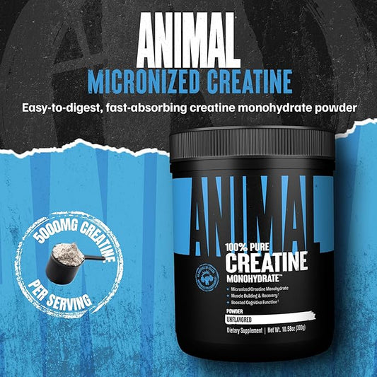 Animal Creatina Monohidratada Micronizada